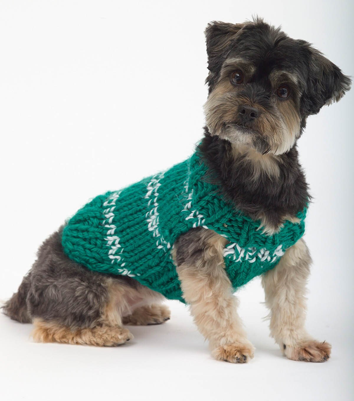 How To Knit A Sports Nut Dog Sweater Joann